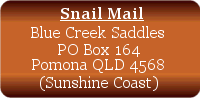 snail mail