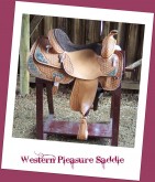 PleasureSaddle1
