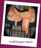 PleasureSaddle4