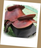 Workhorsehardseat2