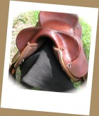 workhorsehardseat3